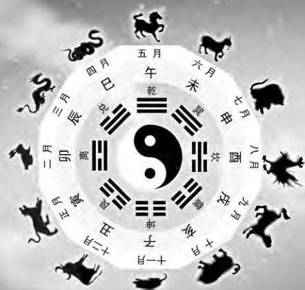 生肖 天干|天幹地支